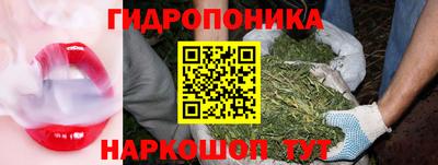 спайс Моздок