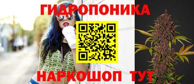 mix Можга