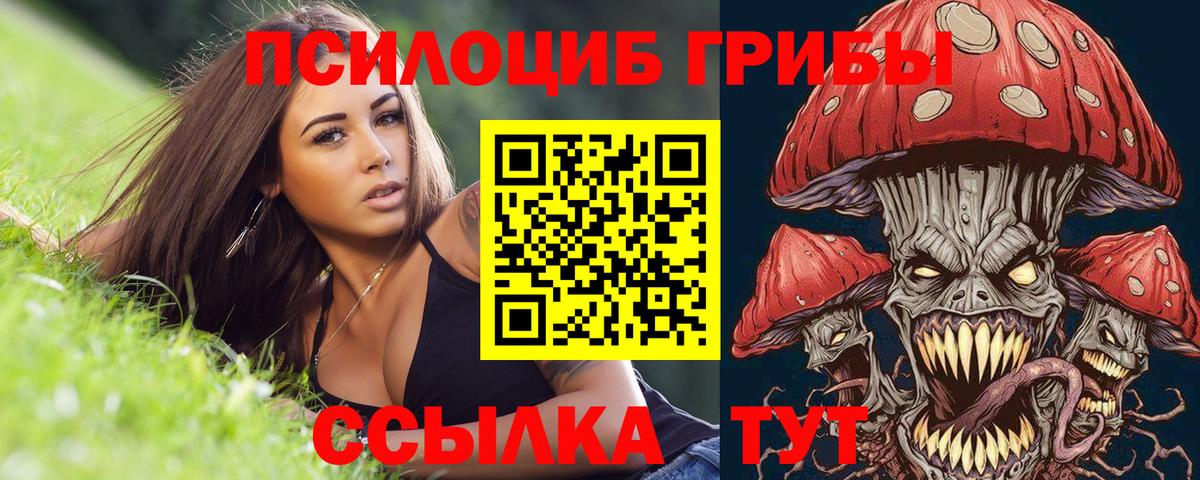 где продают   Вход с VPN  Владимир  Галлюциногенные грибы ЛСД 