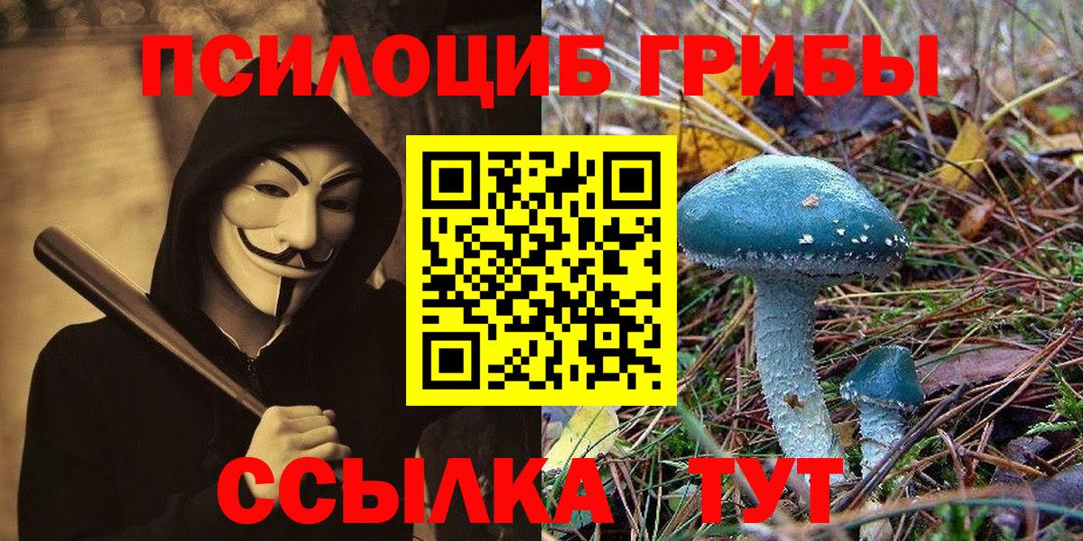 Псилоцибиновые грибы мицелий Владимир
